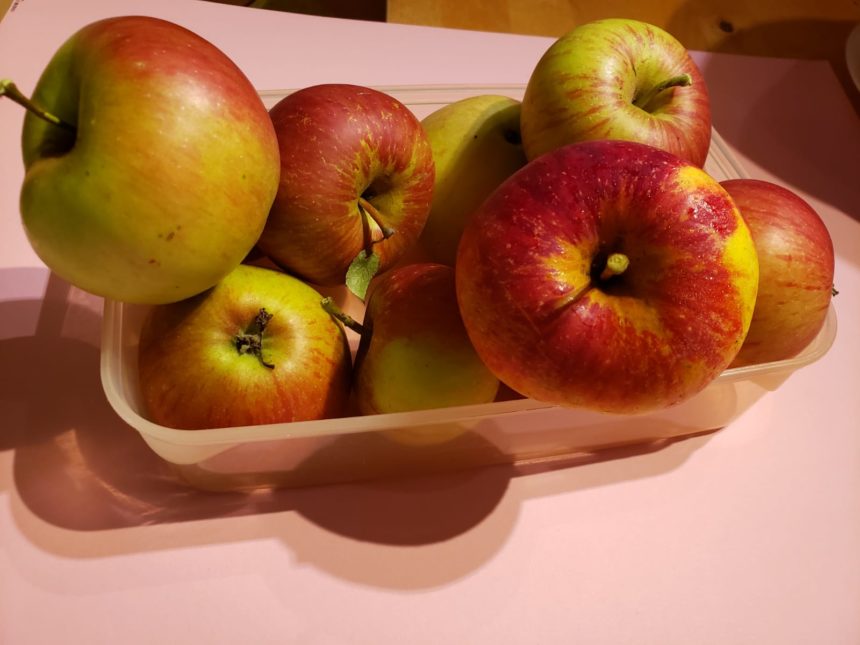 Die Apfel-Erntezeit beginnt!